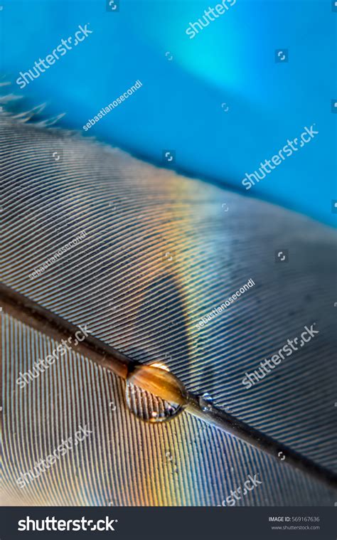 Light Diffraction Showing Rainbow Through Water Stock Photo 569167636