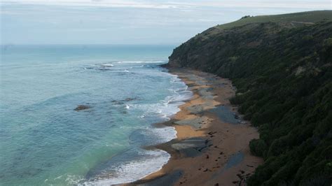 Bushy Beach Track Bushy Beach Scenic Reserve Otago Region