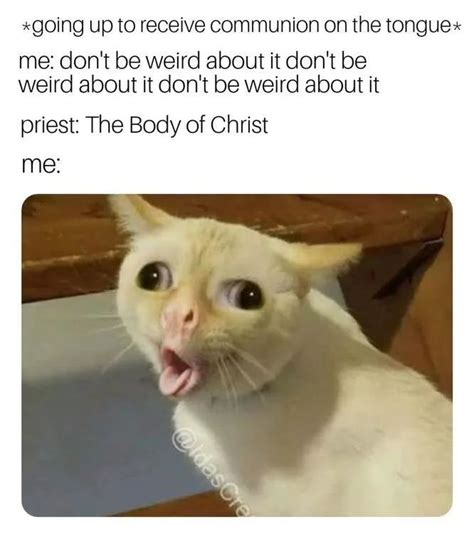 100 catholic memes that are hilariously funny in 2020 catholic memes