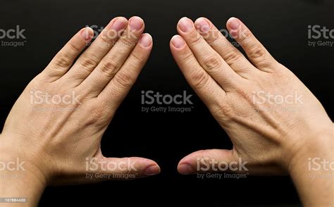 Womans Hands Stock Photo - Download Image Now - iStock