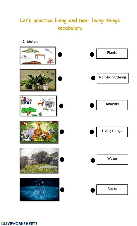 Living And Non Living Things Worksheet For Class 1 Answer Key Cleo Sheets