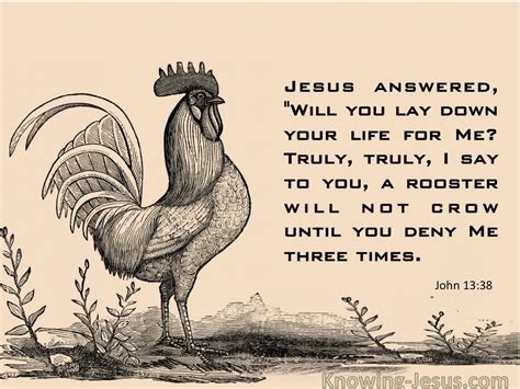 John 1338 A Rooster Will Not Crow Until You Deny Me Three Times Pink