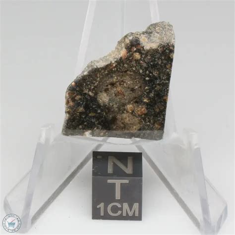 Nwa 15656 Eucrite Pmict Meteorite 15656 18 The Meteorite Exchange Inc