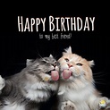 Birthday Wishes for My Best Female Friend | Happy Birthday, Amiga ...