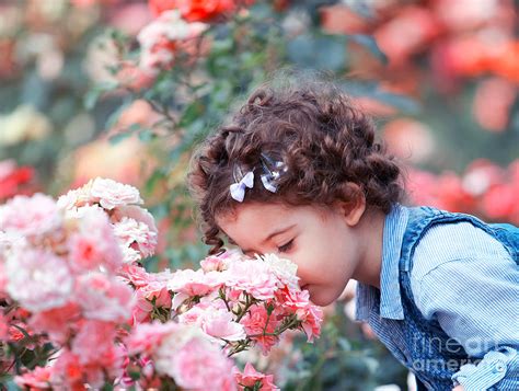 Baby Girl Smelling Pink Roses Photograph By Gabriela