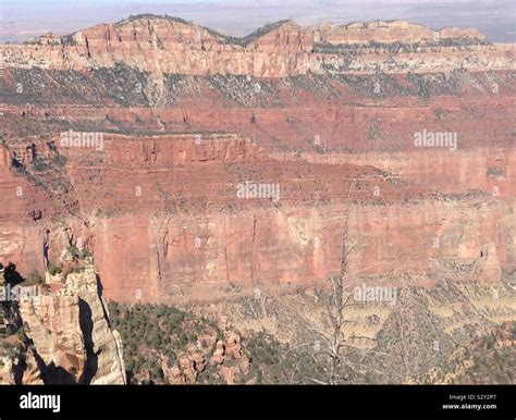 Grand Canyon Compressed Layers Of Rock Stock Photo Alamy