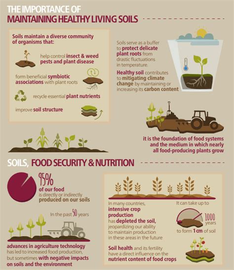 This Is Why Soil Health Is Crucial For Feeding The Planet World