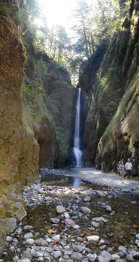 Oneonta Gorge Usa Images N Detail