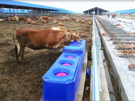 Premier Large Heated Water Trough For Cattlehorse Buy Drinking Tank