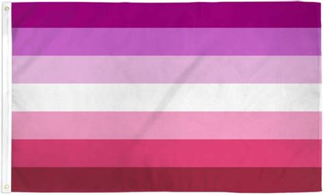 Pink Lesbian Flag 2x3 Lgbtqia Lesbian Pride Wlw Pride Flag Pink Lesbian