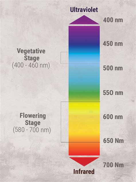 Best Light Spectrum For Growing Plants Best Light For Plant Growth Ez