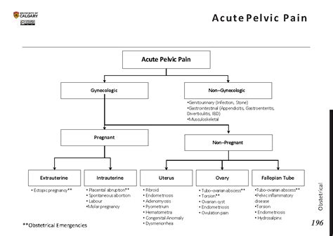 Acute Pelvic Pain Blackbook Blackbook