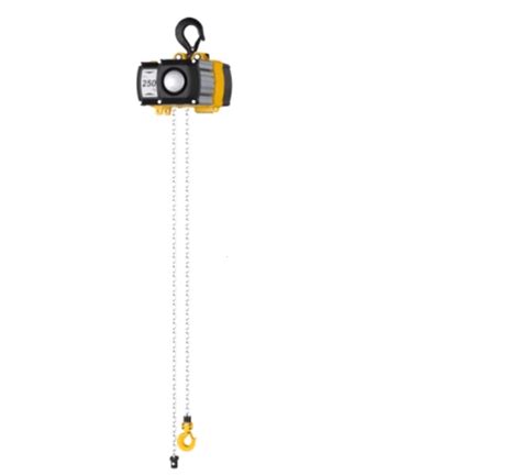 Yale Electric Hoist 5 Ton Lowvoltage Cpefn Mtn Shop Eu