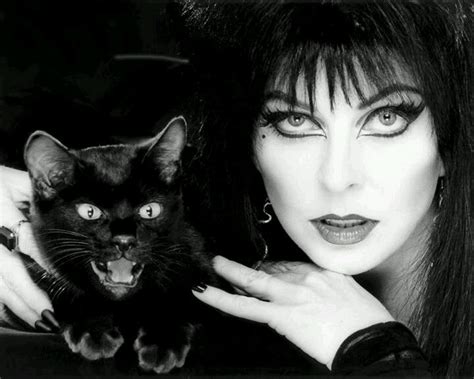 F Yea Elvira Cats Cat People Mistress