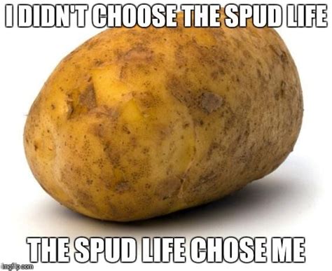 Pin By Trenna On Meirl Potato Meme Potatoes Food Puns