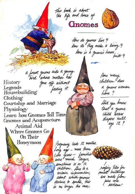 Gnomes By Huygen Wil Fine Hardcover 1976 1st Edition The Cary