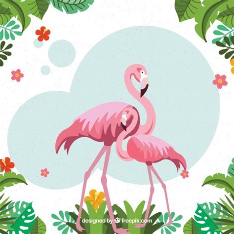 Flamingo Background Vector At Collection Of Flamingo