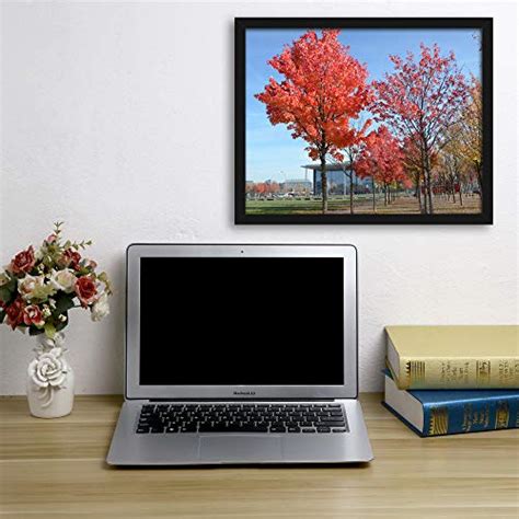 Medog 12x16 Inch Picture Frame Poster Frame For Pictures 12x16 Without