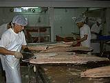 Alaska Fish Processing Companies Pictures