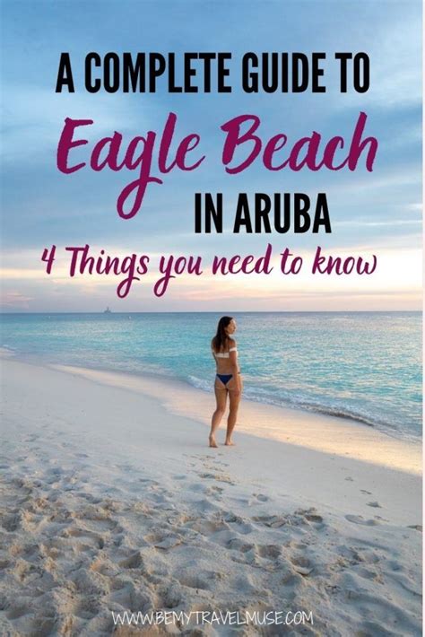 Eagle Beach In Aruba What To Know Before You Go