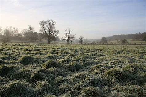 Frosty Fields In Ickworth Park © Bob Jones Geograph Britain And Ireland