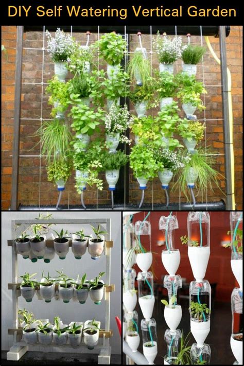 An Effective Self Watering Vertical Garden Your Projectsobn Indoor