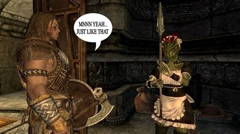 The Lusty Argonian Maid Gamer Humor Skyrim High Fantasy