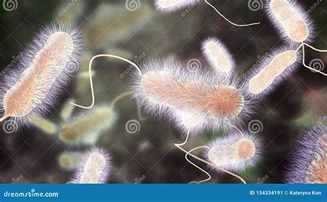 Bacteria Del Pneumophila De Legionella El Agente Causativo De La