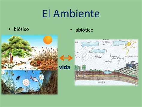 La InteracciÓn Del Ser Humano Con El Sistema Natural Social Yuvicsa