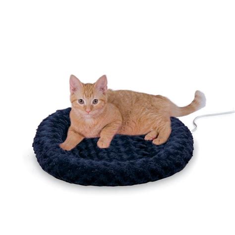 Our Favorite Cat Beds Wayfair Cat Bed Heated Cat Bed Pets