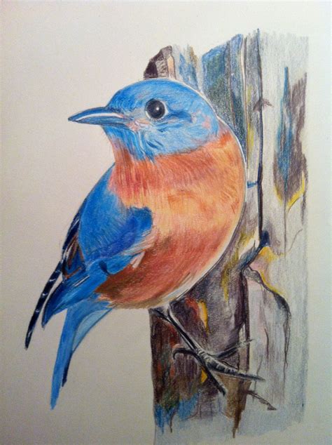 This Item Is Unavailable Etsy Bird Art Watercolor Bird Watercolor
