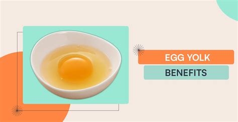 Egg Yolk Benefits A Golden Source Of Health And Wellness