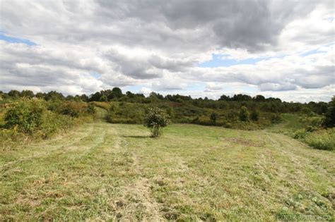 Best suited for cattle farm or equine operation. FOR SALE: 54+- Acres Pulaski County IL Hunting Wooded ...