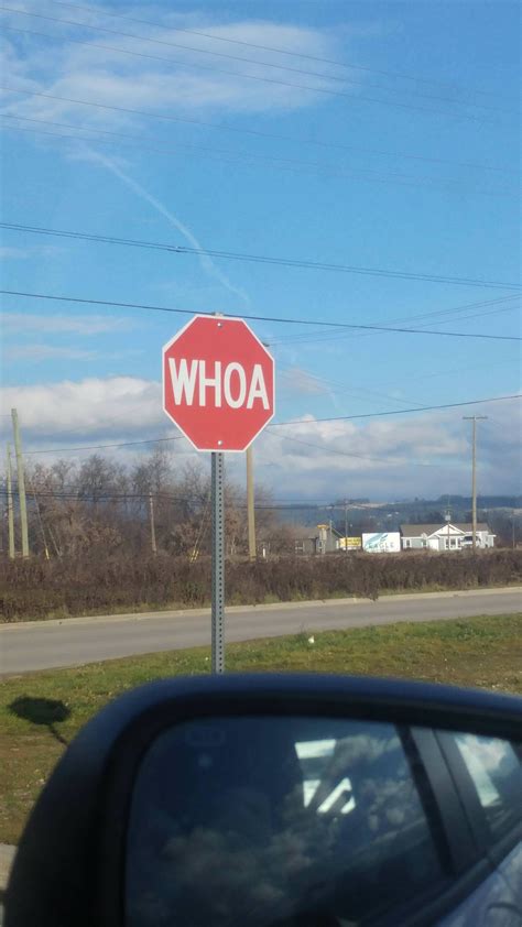 This Stop Sign Says Woah Instead Of Stop Mildlyinteresting