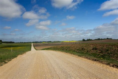 Gravel Country Road Through Farm Fields Stock Image Image Of Blue