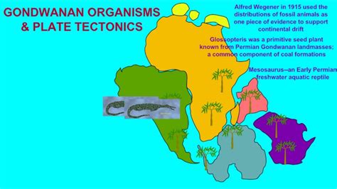 Gondwana And Early Evidence Of Plate Tectonics Youtube