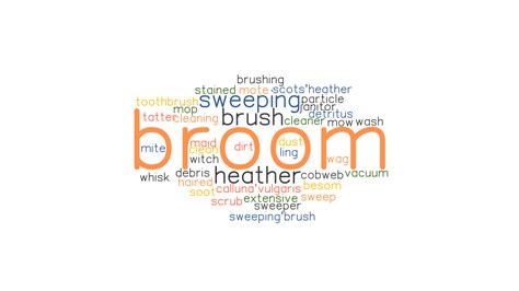 Broom Synonyms And Related Words What Is Another Word For Broom
