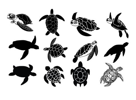 Turtle Svg Sea Turtle Svg Sea Turtles Clipart Turtle Svg Files For