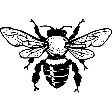 Honey Bee Png Svg Clip Art For Web Download Clip Art Png Icon Arts