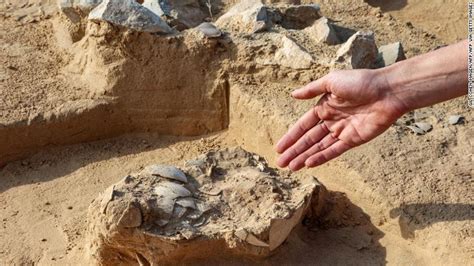 Ostrich Eggs Up To 7500 Years Old Found Next To Ancient Fire Pit In