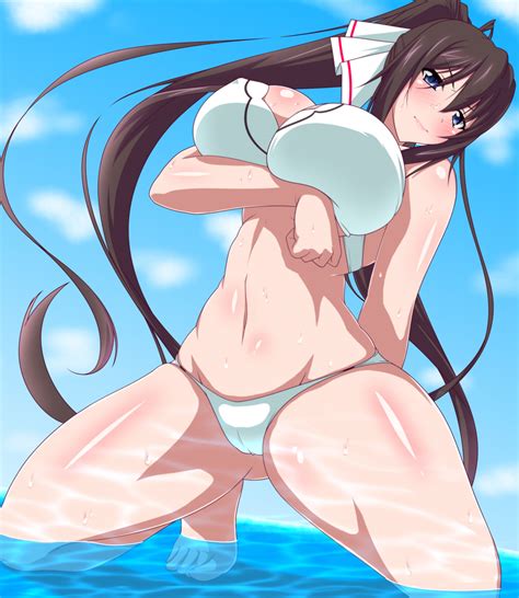 Shinonono Houki Infinite Stratos Artist Request Highres 1girl