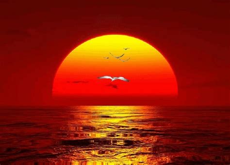 Red Sky Color Of Life Sunrise Sunset Night Skies Sunsets Moon