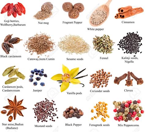 Collection Set Of Heap Spices With Names Close Up Isolated On White