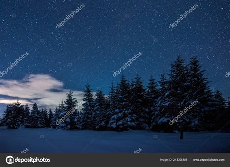 Starry Dark Sky Spruces Carpathian Mountains Night Winter — Stock Photo