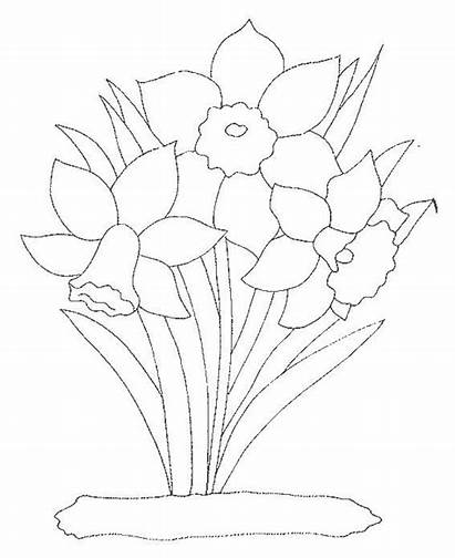 Daffodils Coloring Zapisano