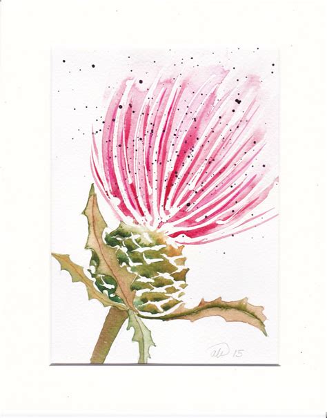 Scottish Thistle Original Watercolour Painting By Alinabjelos On Etsy