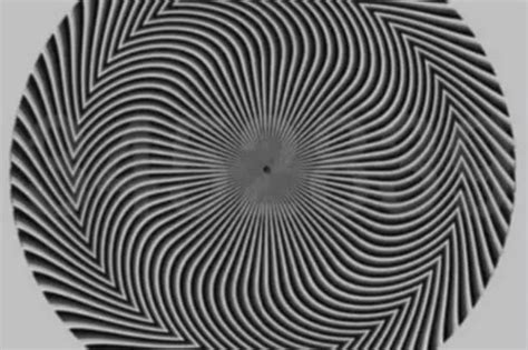Mind Bending Optical Illusion Shows Whether Or Not Youre On The Right
