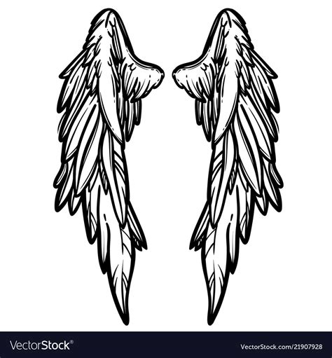 angel wings drawing vector illustration winged angelic tattoo icons the best porn website