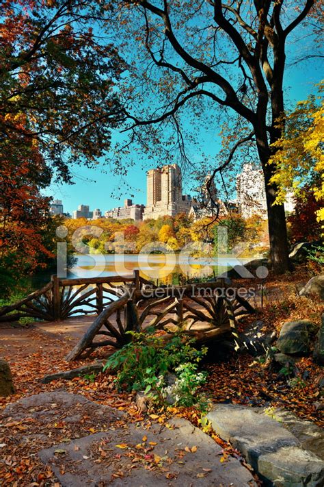 Central Park Autumn Stock Photo Royalty Free Freeimages