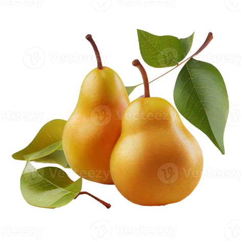 Pear Fruit Png Pear On Transparent Background 22825567 Png